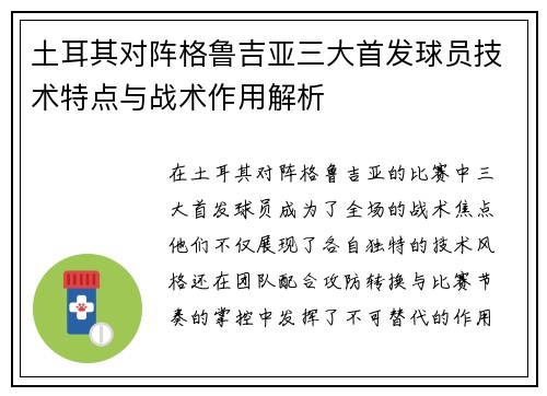 土耳其对阵格鲁吉亚三大首发球员技术特点与战术作用解析