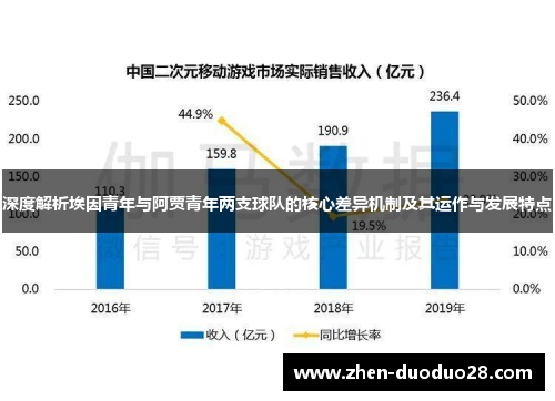 深度解析埃因青年与阿贾青年两支球队的核心差异机制及其运作与发展特点 深度解析埃因青年与阿贾青年两支球队的核心差异机制及其运作与发展特点