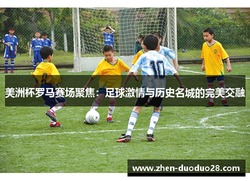 美洲杯罗马赛场聚焦：足球激情与历史名城的完美交融