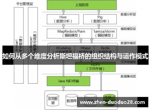 如何从多个维度分析斯坦福桥的组织结构与运作模式