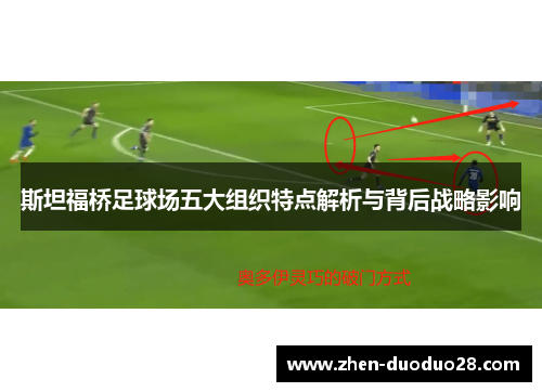 斯坦福桥足球场五大组织特点解析与背后战略影响 斯坦福桥足球场五大组织特点解析与背后战略影响