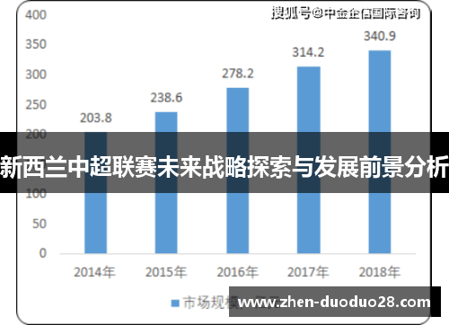 新西兰中超联赛未来战略探索与发展前景分析 新西兰中超联赛未来战略探索与发展前景分析