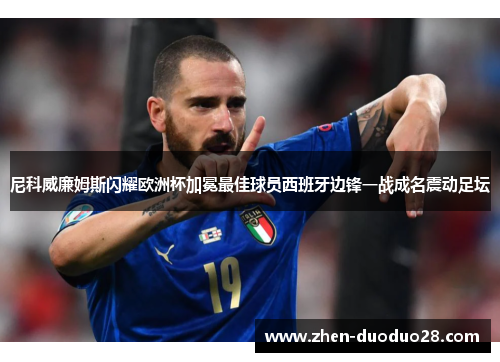 尼科威廉姆斯闪耀欧洲杯加冕最佳球员西班牙边锋一战成名震动足坛