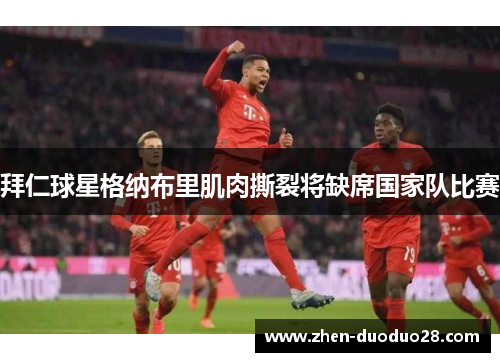 拜仁球星格纳布里肌肉撕裂将缺席国家队比赛