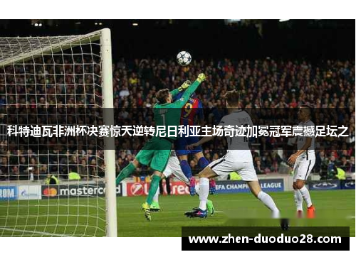 科特迪瓦非洲杯决赛惊天逆转尼日利亚主场奇迹加冕冠军震撼足坛之