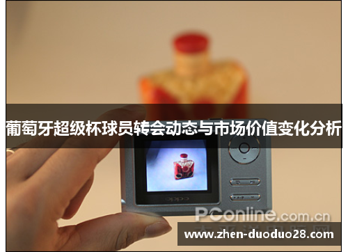 葡萄牙超级杯球员转会动态与市场价值变化分析 葡萄牙超级杯球员转会动态与市场价值变化分析