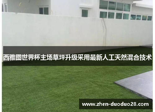 西雅图世界杯主场草坪升级采用最新人工天然混合技术 西雅图世界杯主场草坪升级采用最新人工天然混合技术