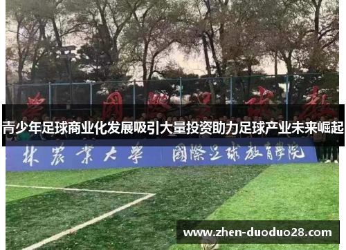 青少年足球商业化发展吸引大量投资助力足球产业未来崛起